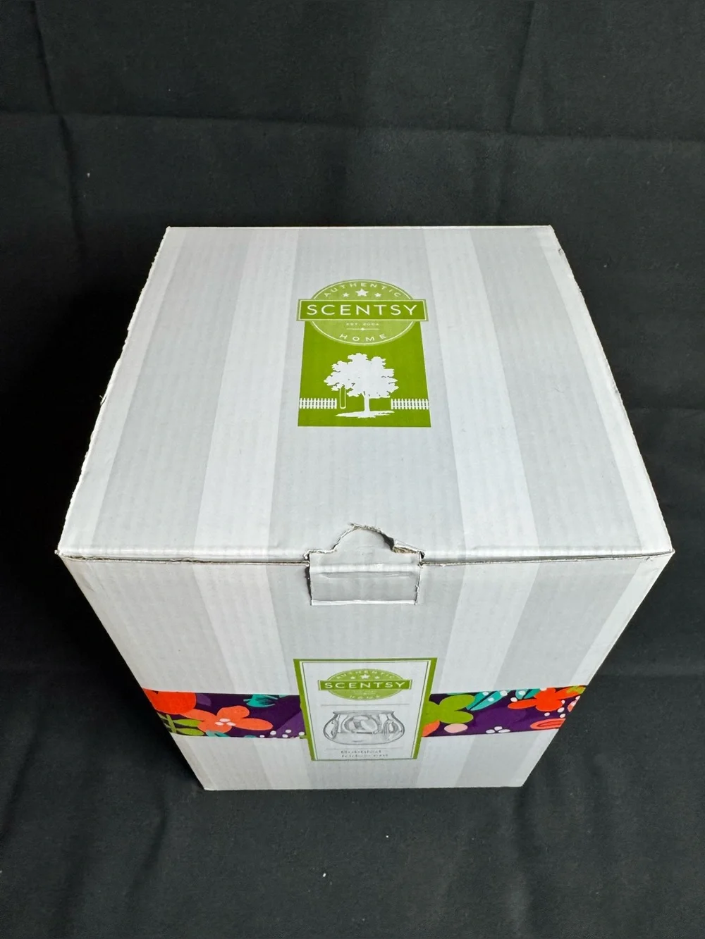 EUC Scentsy Bubbled Iridescent Wax Warmer